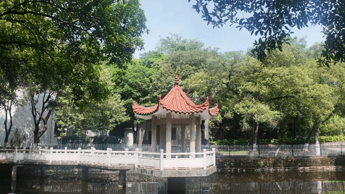 20241117-广西城际轨道医学发展大会举办-孙波摄-曾益新致辞.JPG