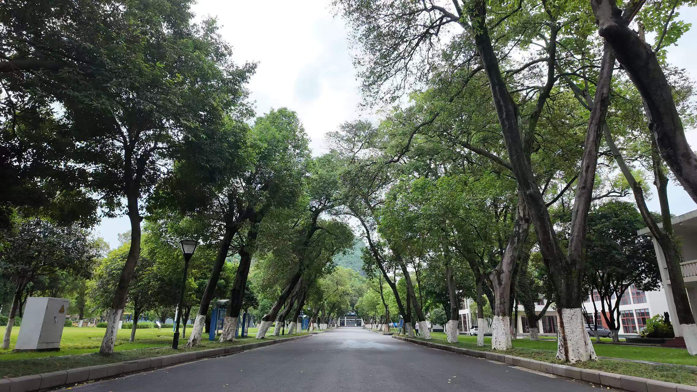 20241117-广西城际轨道医学发展大会举办-孙波摄-曾益新致辞.JPG